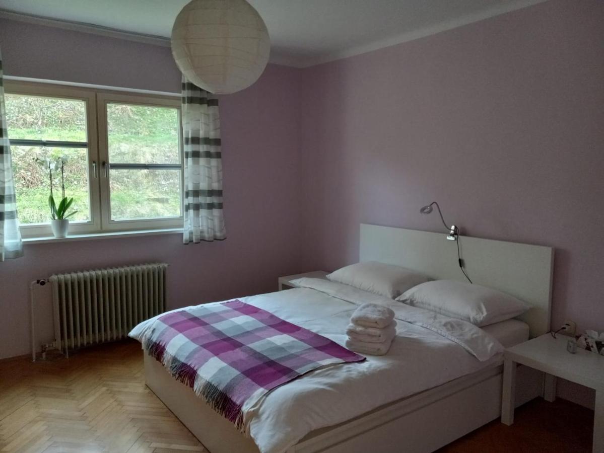 Lovely 2-Bedroom Appartment With Free Parking Dobrova Dış mekan fotoğraf
